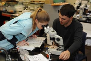 Students in lab looking in a microscope