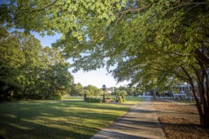 The lawn of FMU on a sunny morning.