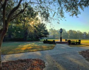 Morning on Francis Marion's main campus