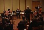 FMU String Ensemble performing