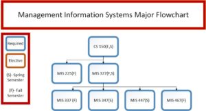 Management Information Systems Flowchart