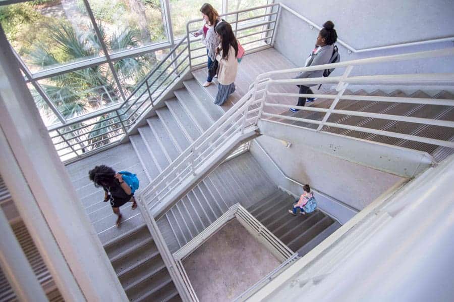 FMU launching spring semester with more new programs FMU launching spring semester with more new programs