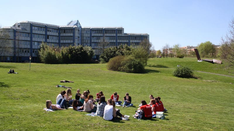 csm_TrierGefuehlParkstudium_9236c8318f