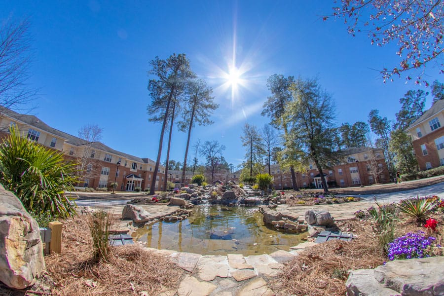 FMU unveils park honoring fallen alumna