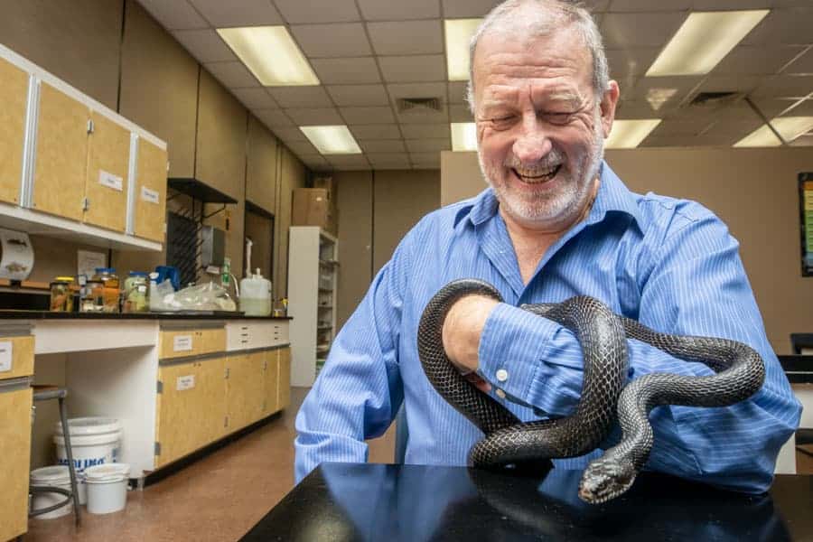 New book by FMU Biology professor sheds much needed light on South Carolina reptiles
