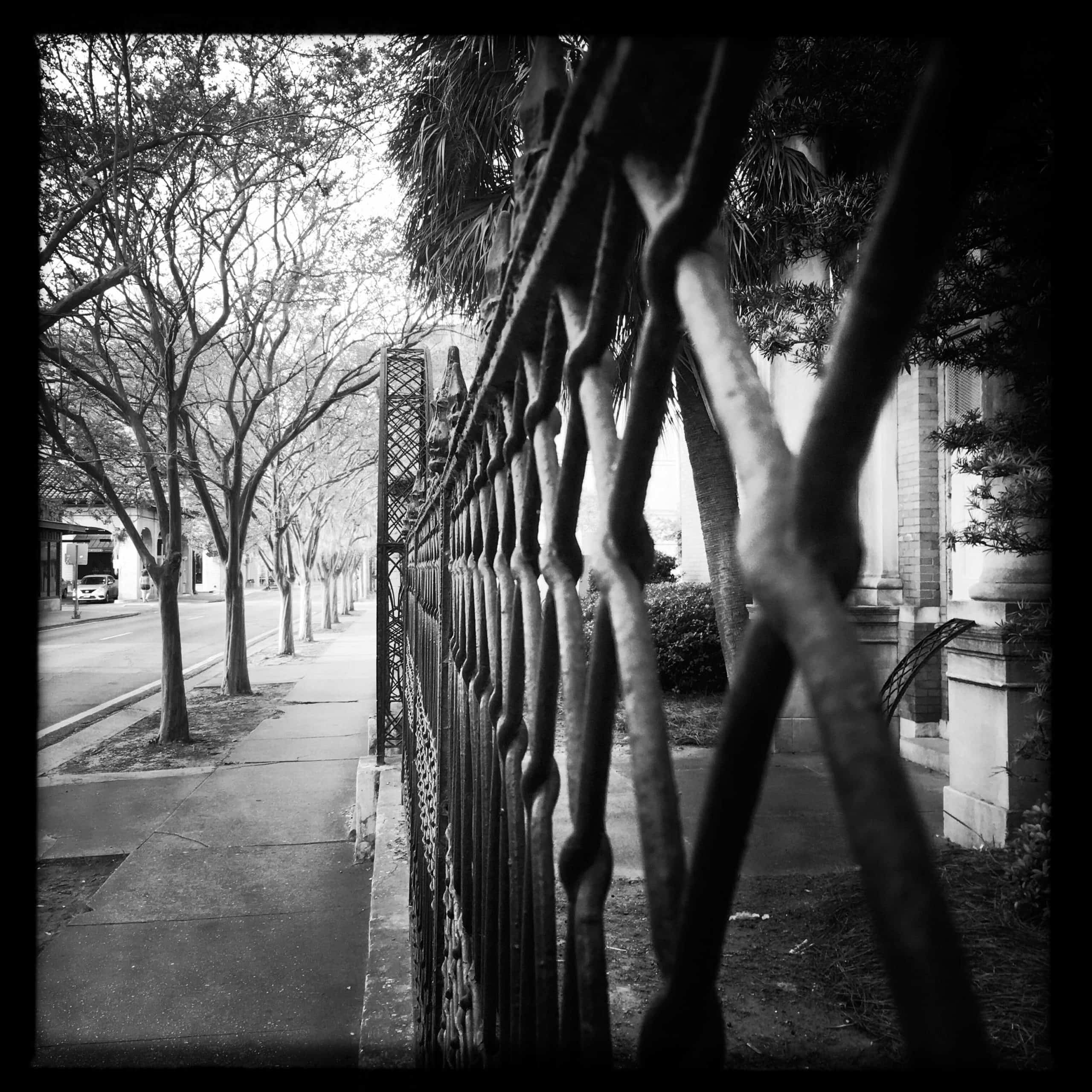 A pohtograph of a metal fence.