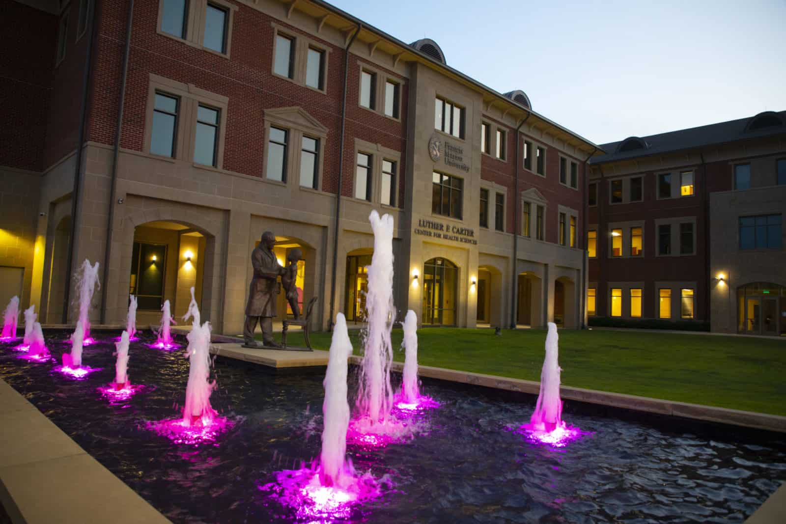 FMU ‘Lights S.C. Purple’ to commemorate 19th amendment FMU ‘Lights S.C. Purple’ to commemorate 19th amendment