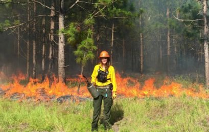 FMU’s Hebler takes to the field with DNR