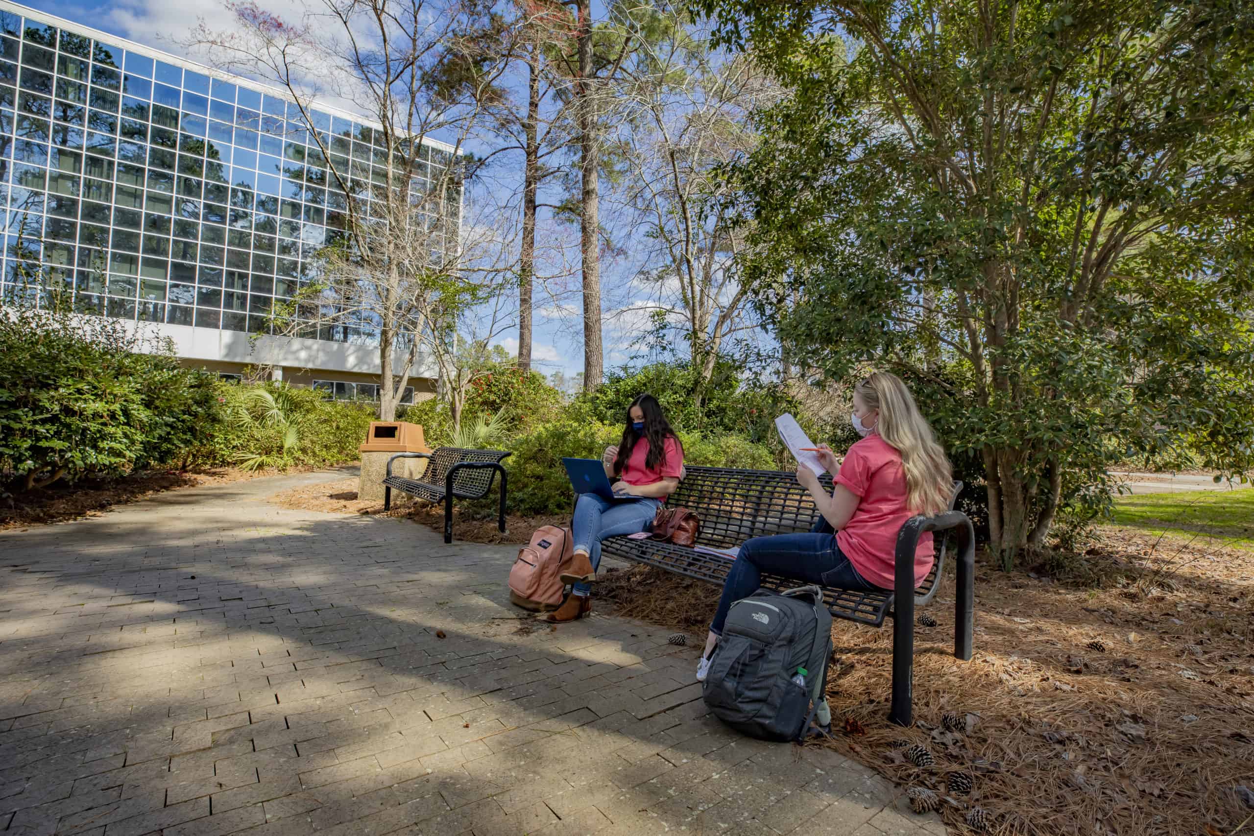 Students study next to LSF.