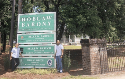 Hobcaw Barony Conservation Project Begins
