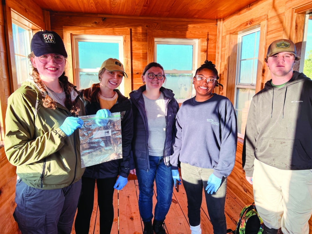 Francis Marion University biology student Clay Tiller saw new things in October while conducting field research at Southern 8ths Farm in Chesterfield, S.C.