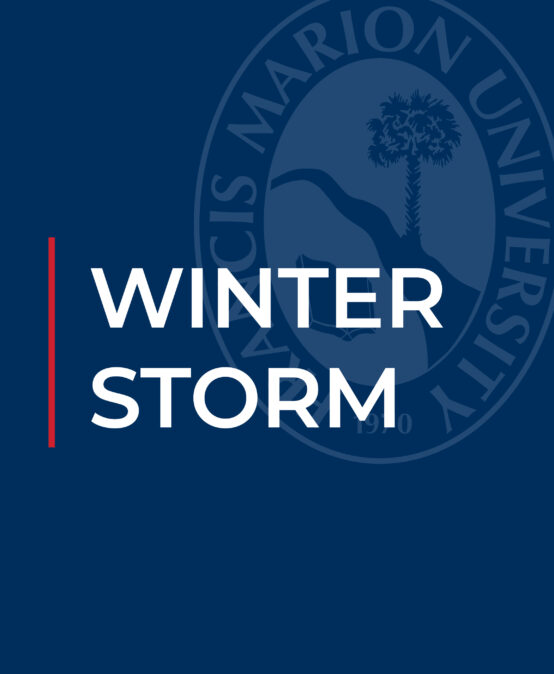 Winter Storm