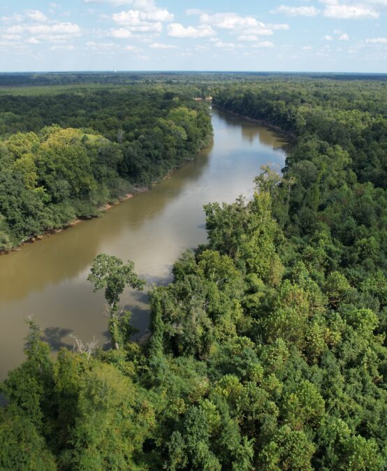 Francis Marion University Assumes Ownership of Historic Duck Ponds Property